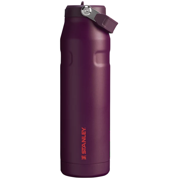 Stanley IceFlow 16oz